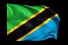 Tanzania Flag